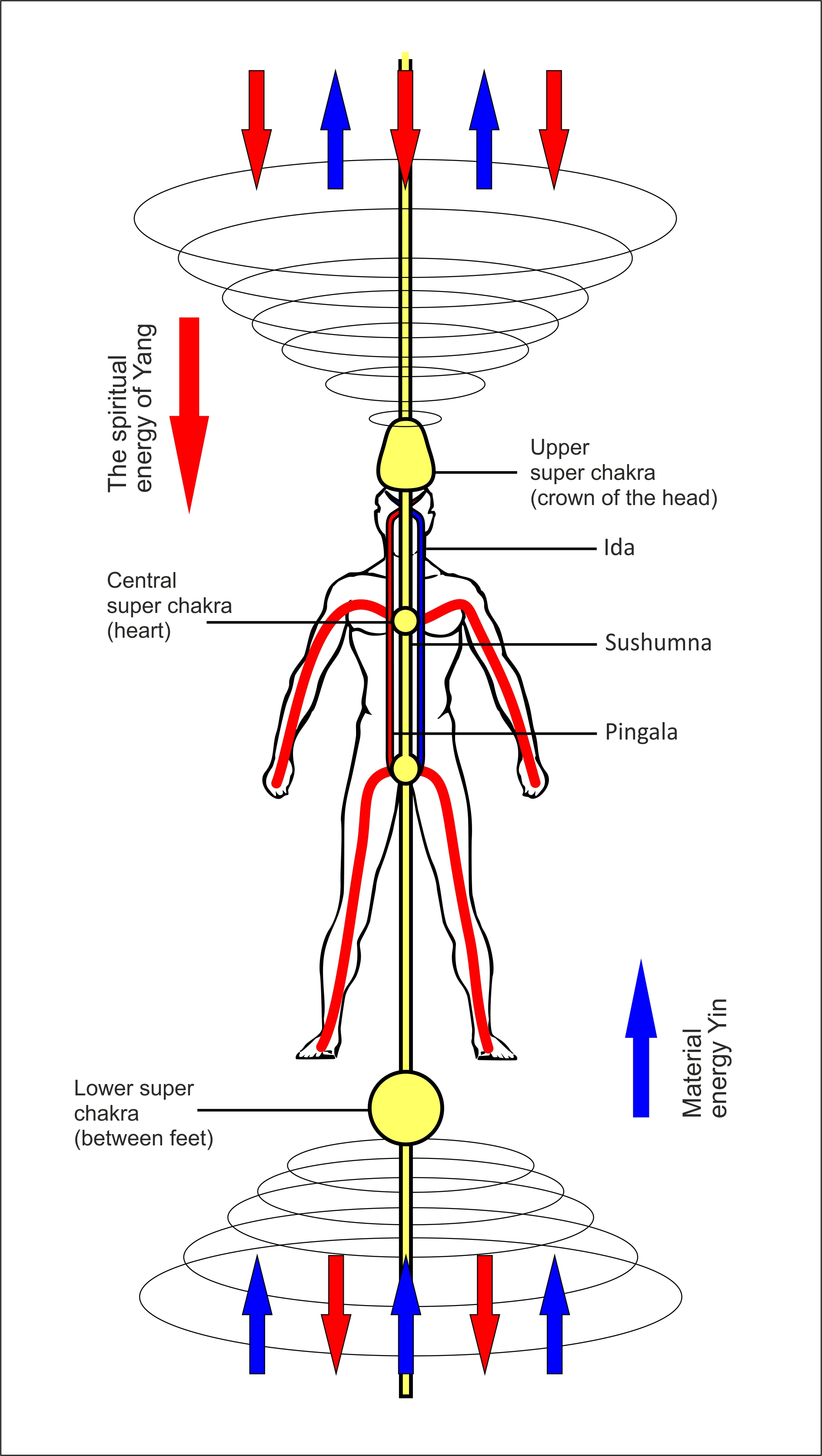Energy channels Ida, Pingala, Sushumna, channels of arms and legs